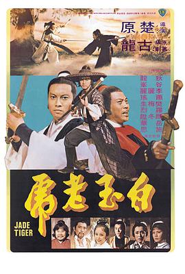 《善良岳母：我爱我的女婿》海报